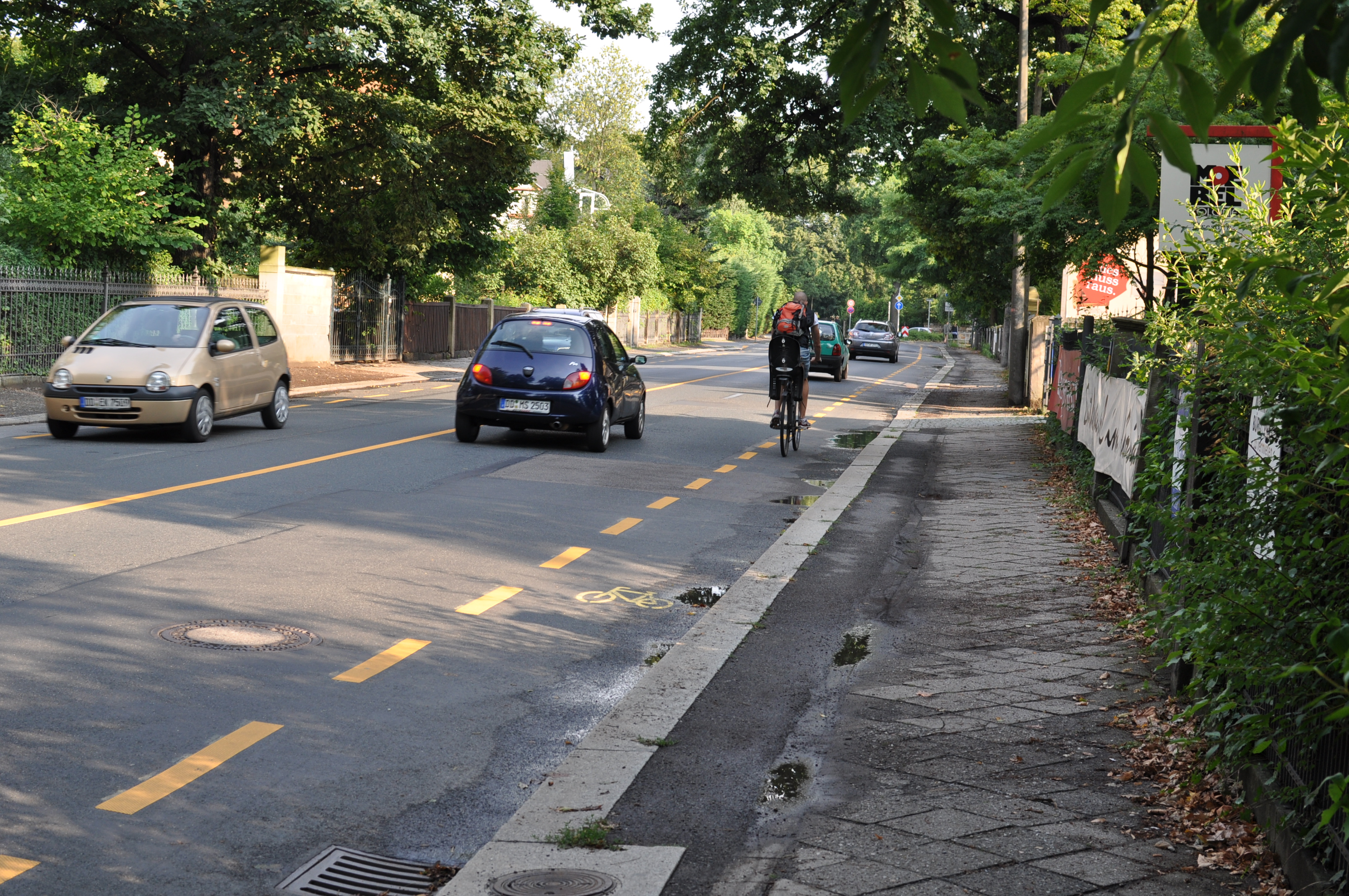 Radstreifen Naumannstraße
