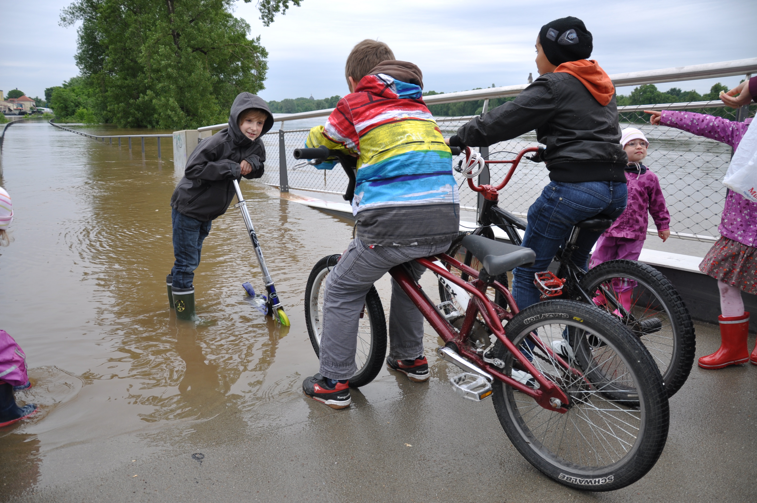Elbehochwasser Pieschen (c) ADFC